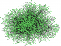 network of the gingival interactome